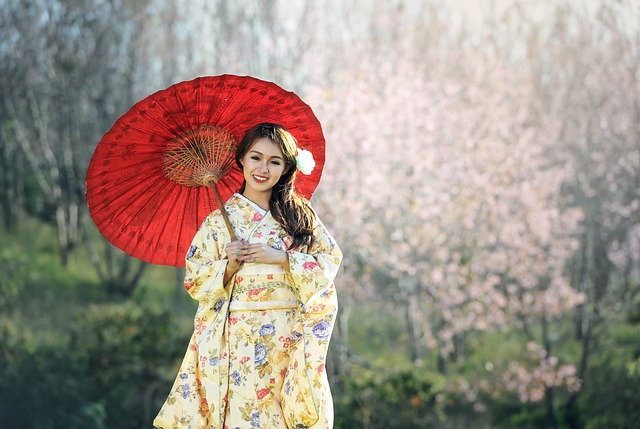 Traditional Japanese garden
